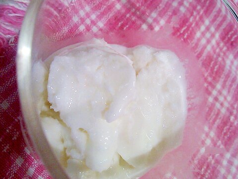 【糖質制限】ココナッツミルクヨーグルトアイス